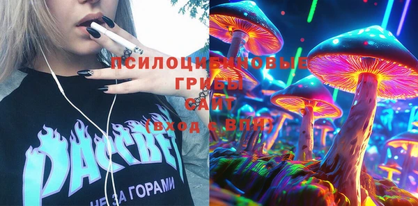 apvp Нязепетровск