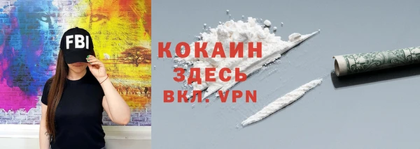 PSILOCYBIN Няндома