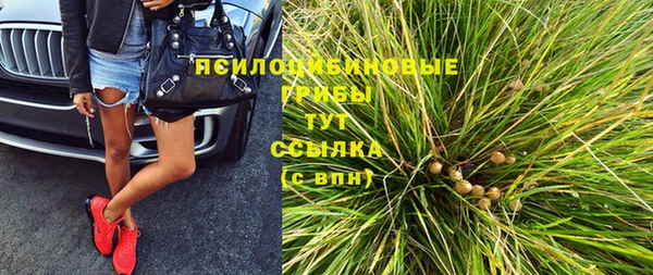 стаф Новодвинск
