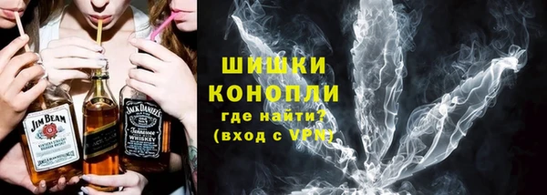 стаф Новодвинск