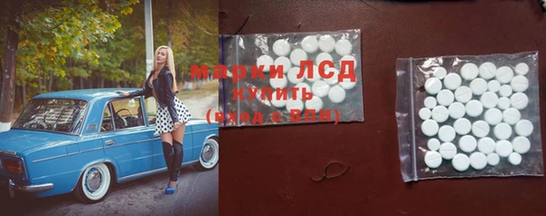 a pvp Новозыбков