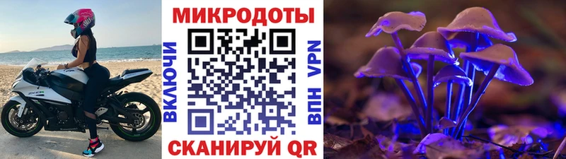 Псилоцибиновые грибы прущие грибы  блэк спрут вход  Сольвычегодск 